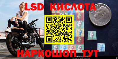 ECSTASY Кулебаки