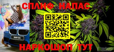 крисы Кунгур