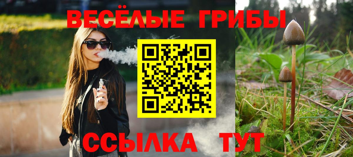 Псилоцибиновые грибы Magic Shrooms Воронеж